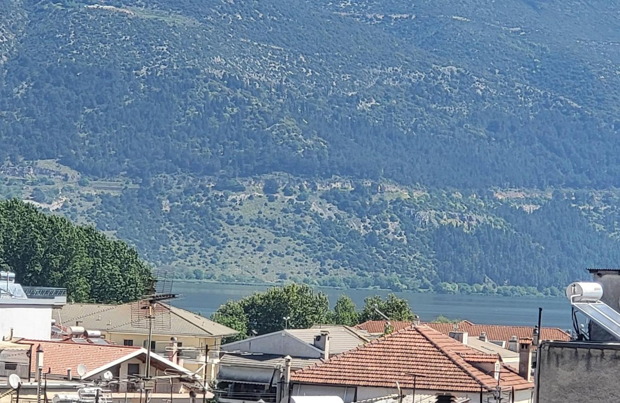 Platanakia Houses Янина Номер фото